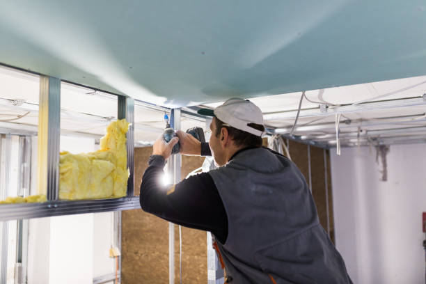 Types of Insulation We Offer in FL